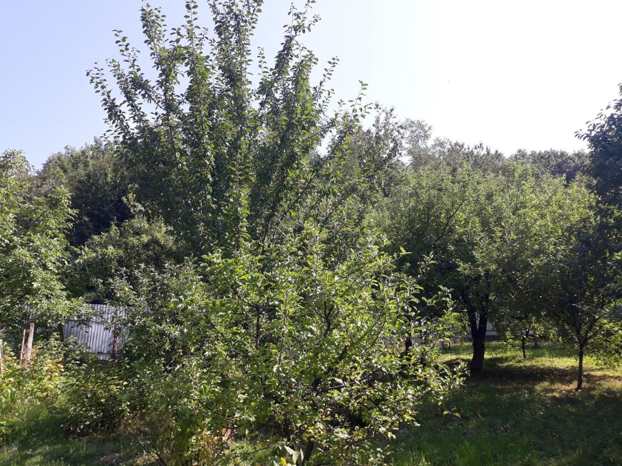 Котедж "Лісовий Затишок" Glubokoye Екстериор снимка